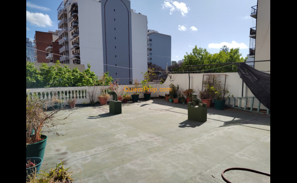 terraza frente terraza frente