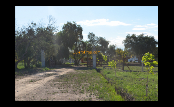 DSC_0741 DSC_0741